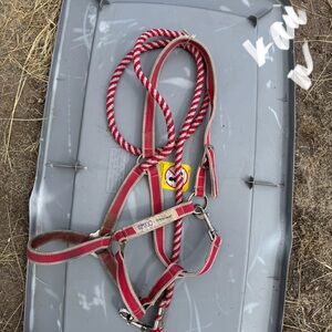 Red and Beige Horse Halter